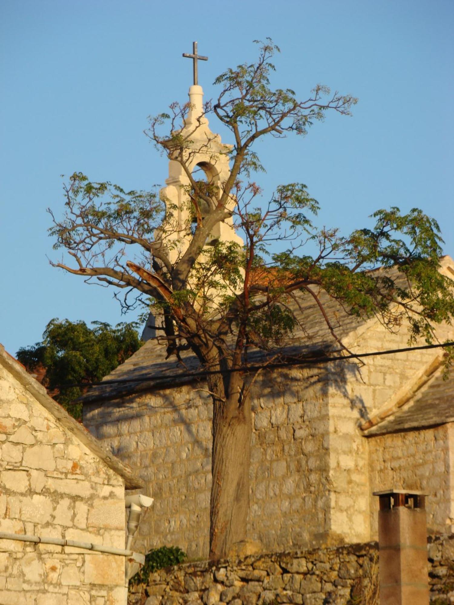 Villas Oleandri Vrboska Extérieur photo
